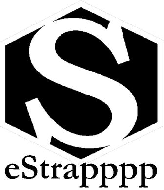 e-Strapppp Consulting Services