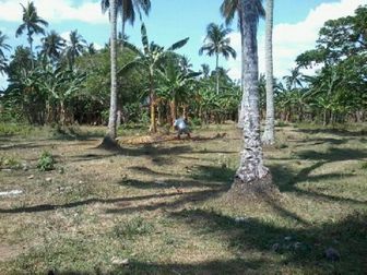 Lot for sale in Pagsanjan Laguna