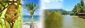 Bohol Tourist Guide