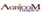 Yellow Millet, Sorghum, Maize, Safflower Seed Suppliers